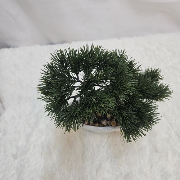 Nearly Natural 10-in Cedar Bonsai Artificial Tree in Decorative Planter - Picture 6 of 9